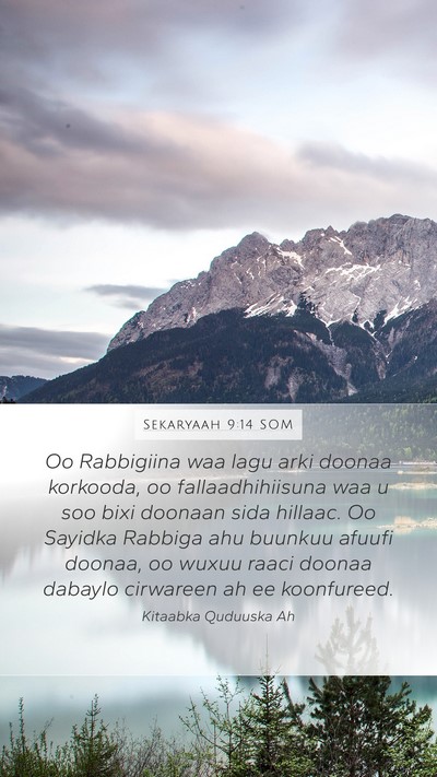 Sekaryaah 9:14 SOM Bible Verse Image