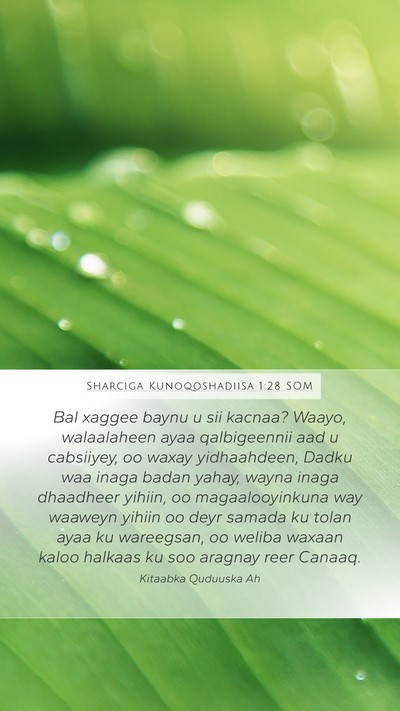 Sharciga Kunoqoshadiisa 1:28 SOM Bible Verse Image