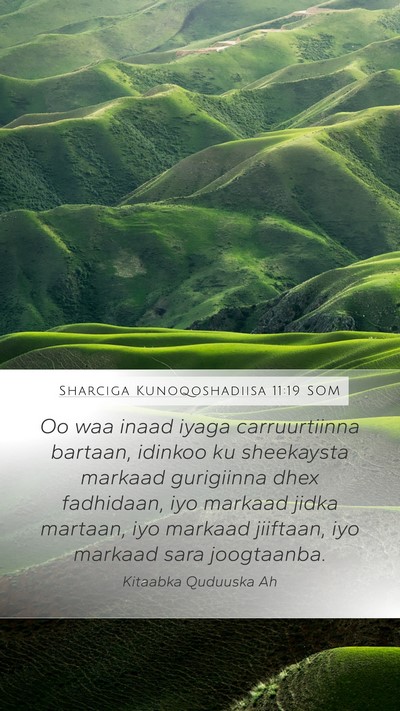 Sharciga Kunoqoshadiisa 11:19 SOM Bible Verse Image