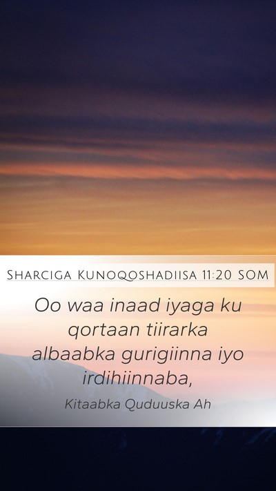 Sharciga Kunoqoshadiisa 11:20 SOM Bible Verse Image