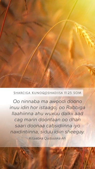 Sharciga Kunoqoshadiisa 11:25 SOM Bible Verse Image