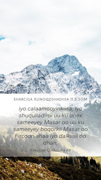 Sharciga Kunoqoshadiisa 11:3 SOM Mobile Phone Wallpaper - iyo calaamooyinkiisa, iyo shuqulladiisii uu ku - Mobile Bible Verse Wallpaper