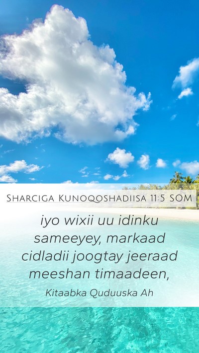Sharciga Kunoqoshadiisa 11:5 SOM Mobile Phone Wallpaper - iyo wixii uu idinku sameeyey, markaad cidladii - Mobile Bible Verse Wallpaper