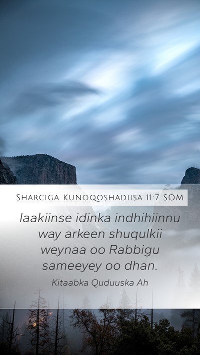 Sharciga Kunoqoshadiisa 11:7 SOM Bible Verse Image