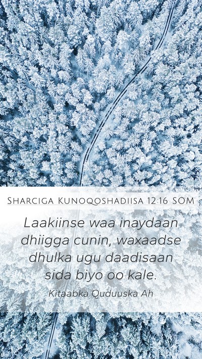 Sharciga Kunoqoshadiisa 12:16 SOM Bible Verse Image