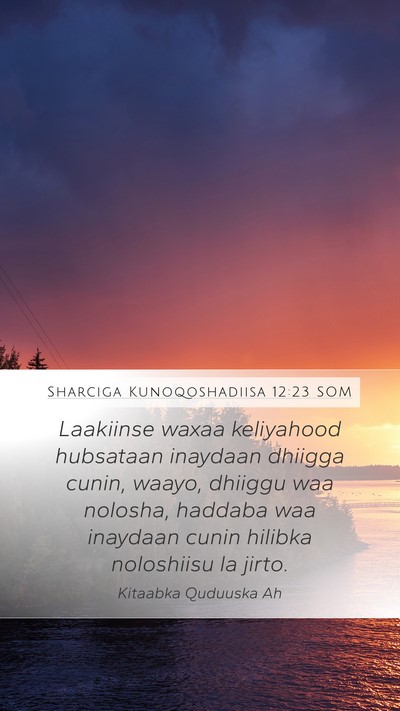 Sharciga Kunoqoshadiisa 12:23 SOM Mobile Phone Wallpaper - Laakiinse waxaa keliyahood hubsataan inaydaan - Mobile Bible Verse Wallpaper