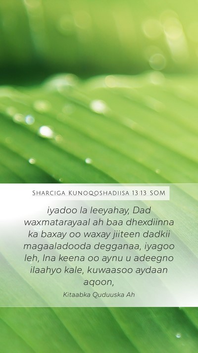 Sharciga Kunoqoshadiisa 13:13 SOM Bible Verse Image