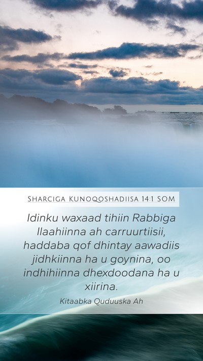 Sharciga Kunoqoshadiisa 14:1 SOM Bible Verse Image