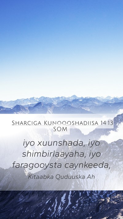 Sharciga Kunoqoshadiisa 14:13 SOM Bible Verse Image