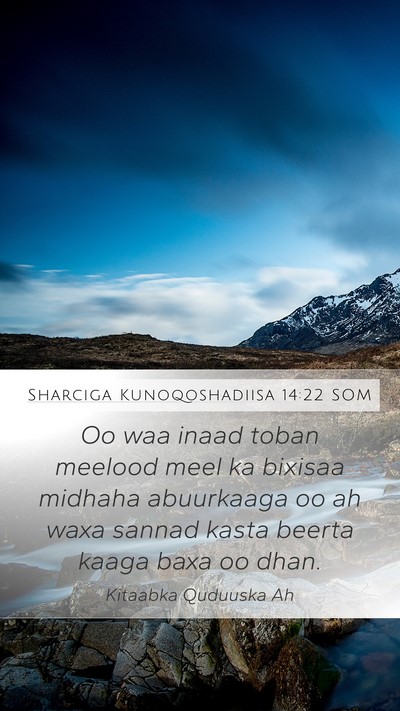 Sharciga Kunoqoshadiisa 14:22 SOM Bible Verse Image