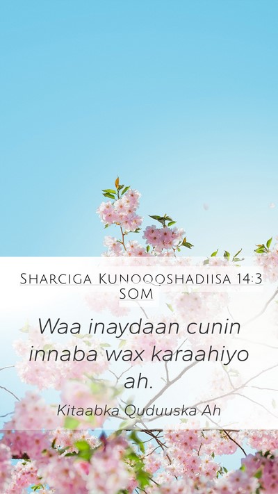 Sharciga Kunoqoshadiisa 14:3 SOM Bible Verse Image