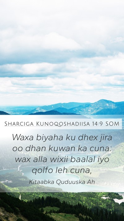 Sharciga Kunoqoshadiisa 14:9 SOM Bible Verse Image