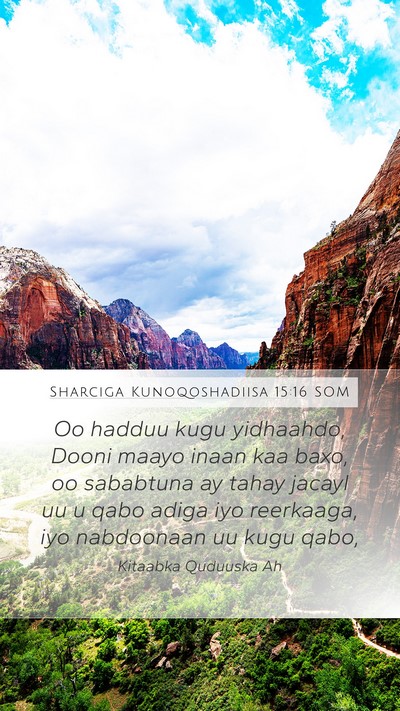 Sharciga Kunoqoshadiisa 15:16 SOM Mobile Phone Wallpaper - Oo hadduu kugu yidhaahdo, Dooni maayo inaan kaa - Mobile Bible Verse Wallpaper