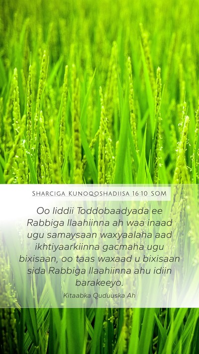Sharciga Kunoqoshadiisa 16:10 SOM Bible Verse Image