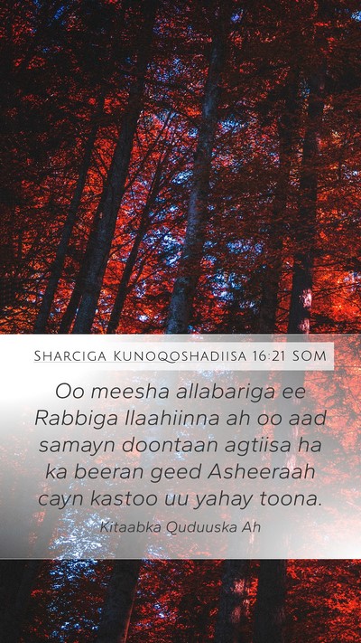 Sharciga Kunoqoshadiisa 16:21 SOM Bible Verse Image