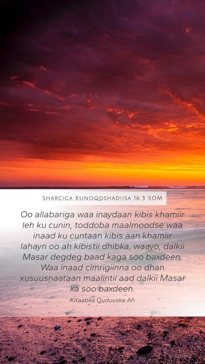 Sharciga Kunoqoshadiisa 16:3 SOM Bible Verse Image
