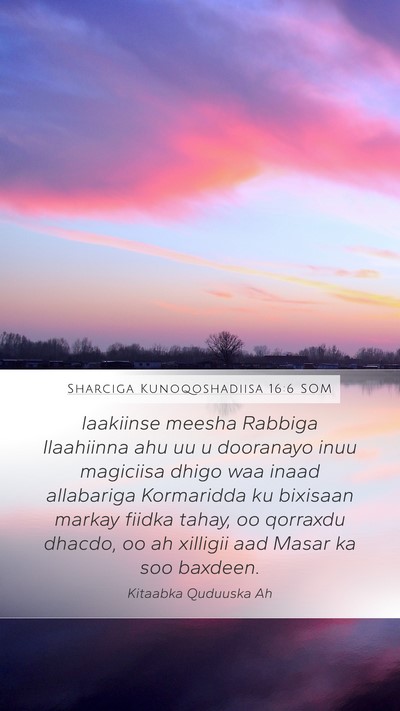 Sharciga Kunoqoshadiisa 16:6 SOM Bible Verse Image