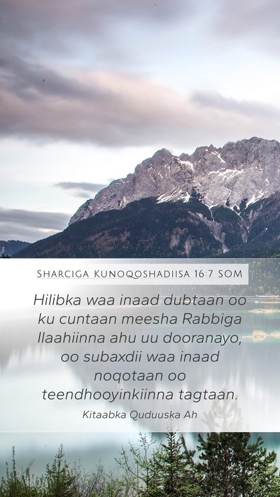 Sharciga Kunoqoshadiisa 16:7 SOM Mobile Phone Wallpaper - Hilibka waa inaad dubtaan oo ku cuntaan meesha - Mobile Bible Verse Wallpaper