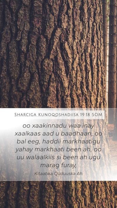 Sharciga Kunoqoshadiisa 19:18 SOM Bible Verse Image