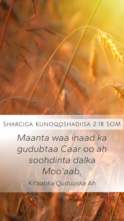 Sharciga Kunoqoshadiisa 2:18 SOM Bible Verse Image