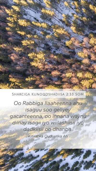 Sharciga Kunoqoshadiisa 2:33 SOM Mobile Phone Wallpaper - Oo Rabbiga Ilaaheenna ahu isaguu soo geliyey - Mobile Bible Verse Wallpaper