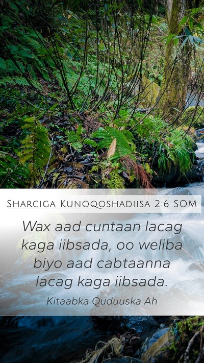Sharciga Kunoqoshadiisa 2:6 SOM Bible Verse Image