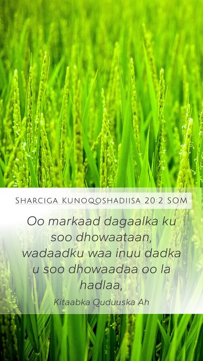 Sharciga Kunoqoshadiisa 20:2 SOM Mobile Phone Wallpaper - Oo markaad dagaalka ku soo dhowaataan, wadaadku - Mobile Bible Verse Wallpaper