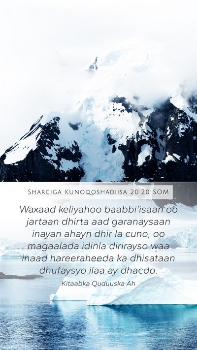 Sharciga Kunoqoshadiisa 20:20 SOM Mobile Phone Wallpaper - Waxaad keliyahoo baabbi'isaan oo jartaan dhirta - Mobile Bible Verse Wallpaper