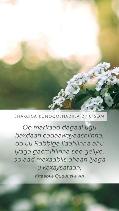 Sharciga Kunoqoshadiisa 21:10 SOM Bible Verse Image