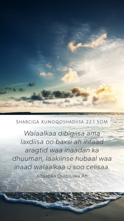 Sharciga Kunoqoshadiisa 22:1 SOM Mobile Phone Wallpaper - Walaalkaa dibigiisa ama laxdiisa oo baxsi ah - Mobile Bible Verse Wallpaper