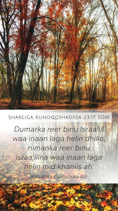 Sharciga Kunoqoshadiisa 23:17 SOM Bible Verse Image