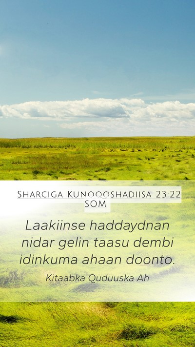 Sharciga Kunoqoshadiisa 23:22 SOM Mobile Phone Wallpaper - Laakiinse haddaydnan nidar gelin taasu dembi - Mobile Bible Verse Wallpaper