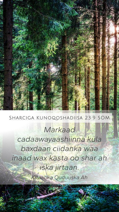 Sharciga Kunoqoshadiisa 23:9 SOM Bible Verse Image