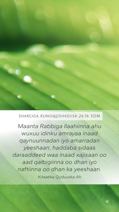 Sharciga Kunoqoshadiisa 26:16 SOM Bible Verse Image