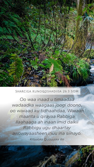 Sharciga Kunoqoshadiisa 26:3 SOM Bible Verse Image