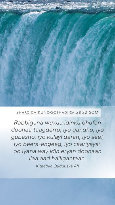 Sharciga Kunoqoshadiisa 28:22 SOM Bible Verse Image