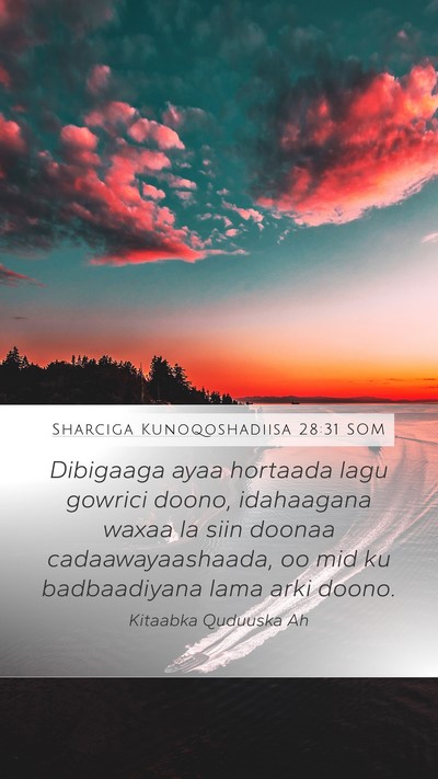 Sharciga Kunoqoshadiisa 28:31 SOM Bible Verse Image