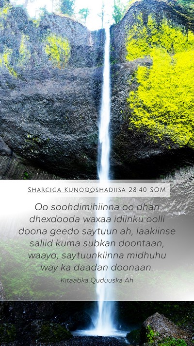 Sharciga Kunoqoshadiisa 28:40 SOM Bible Verse Image