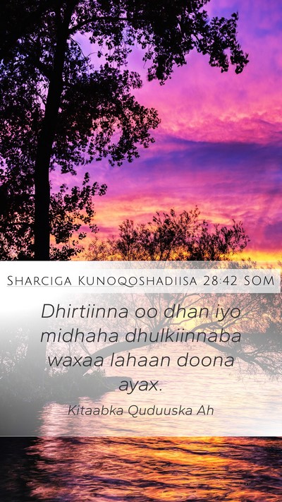 Sharciga Kunoqoshadiisa 28:42 SOM Bible Verse Image