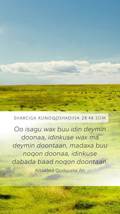 Sharciga Kunoqoshadiisa 28:44 SOM Bible Verse Image