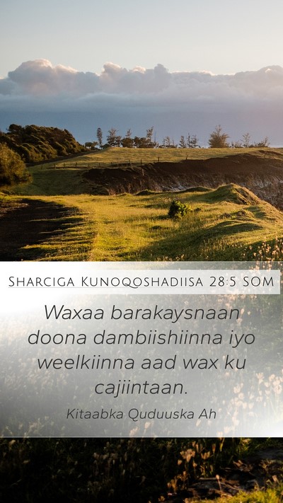 Sharciga Kunoqoshadiisa 28:5 SOM Mobile Phone Wallpaper - Waxaa barakaysnaan doona dambiishiinna iyo - Mobile Bible Verse Wallpaper