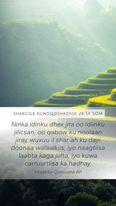 Sharciga Kunoqoshadiisa 28:54 SOM Bible Verse Image