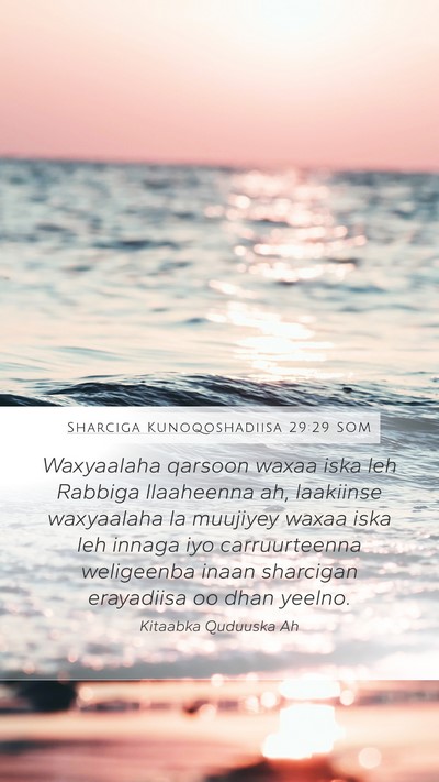 Sharciga Kunoqoshadiisa 29:29 SOM Bible Verse Image