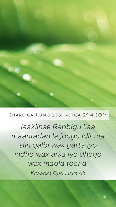 Sharciga Kunoqoshadiisa 29:4 SOM Bible Verse Image