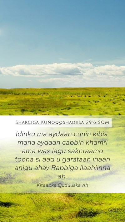 Sharciga Kunoqoshadiisa 29:6 SOM Bible Verse Image