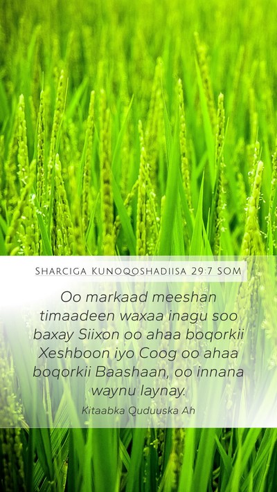 Sharciga Kunoqoshadiisa 29:7 SOM Bible Verse Image