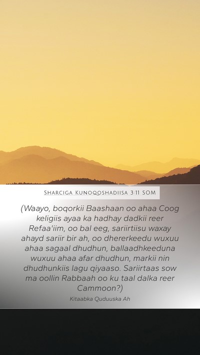 Sharciga Kunoqoshadiisa 3:11 SOM Bible Verse Image