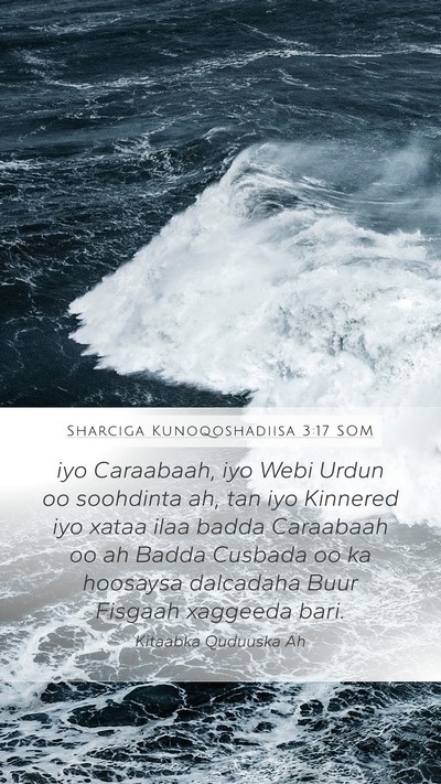 Sharciga Kunoqoshadiisa 3:17 SOM Bible Verse Image