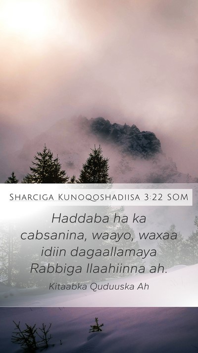 Sharciga Kunoqoshadiisa 3:22 SOM Mobile Phone Wallpaper - Haddaba ha ka cabsanina, waayo, waxaa idiin - Mobile Bible Verse Wallpaper