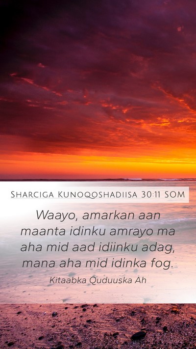 Sharciga Kunoqoshadiisa 30:11 SOM Bible Verse Image